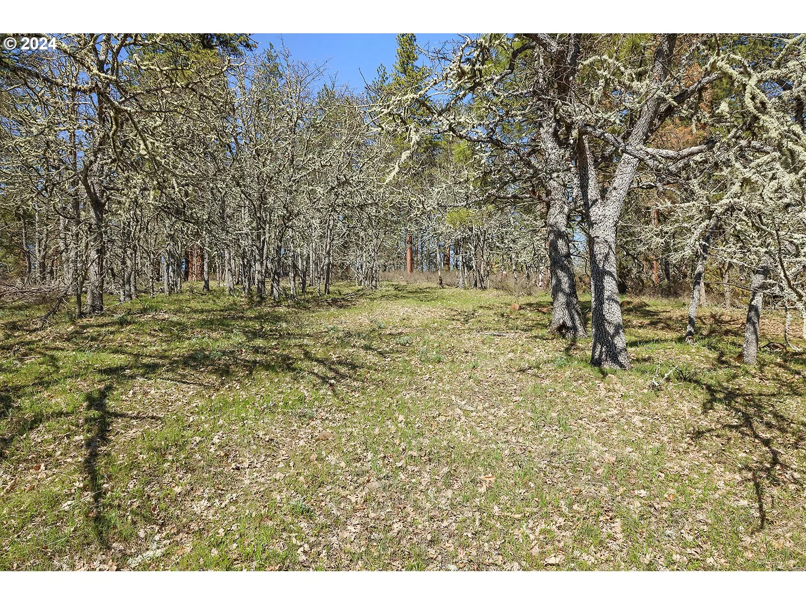 Secluded Way 3, Lyle, Wa 98635 — photograph 13