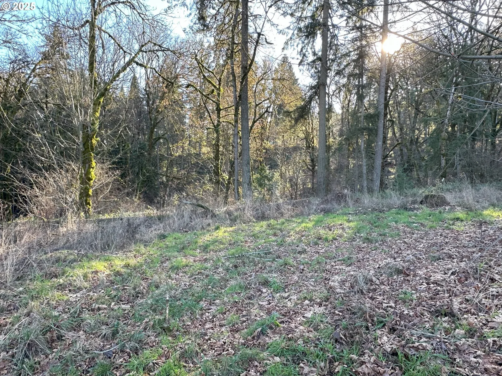21487 SW Kruger Rd, Sherwood, OR 97140 — photograph 13