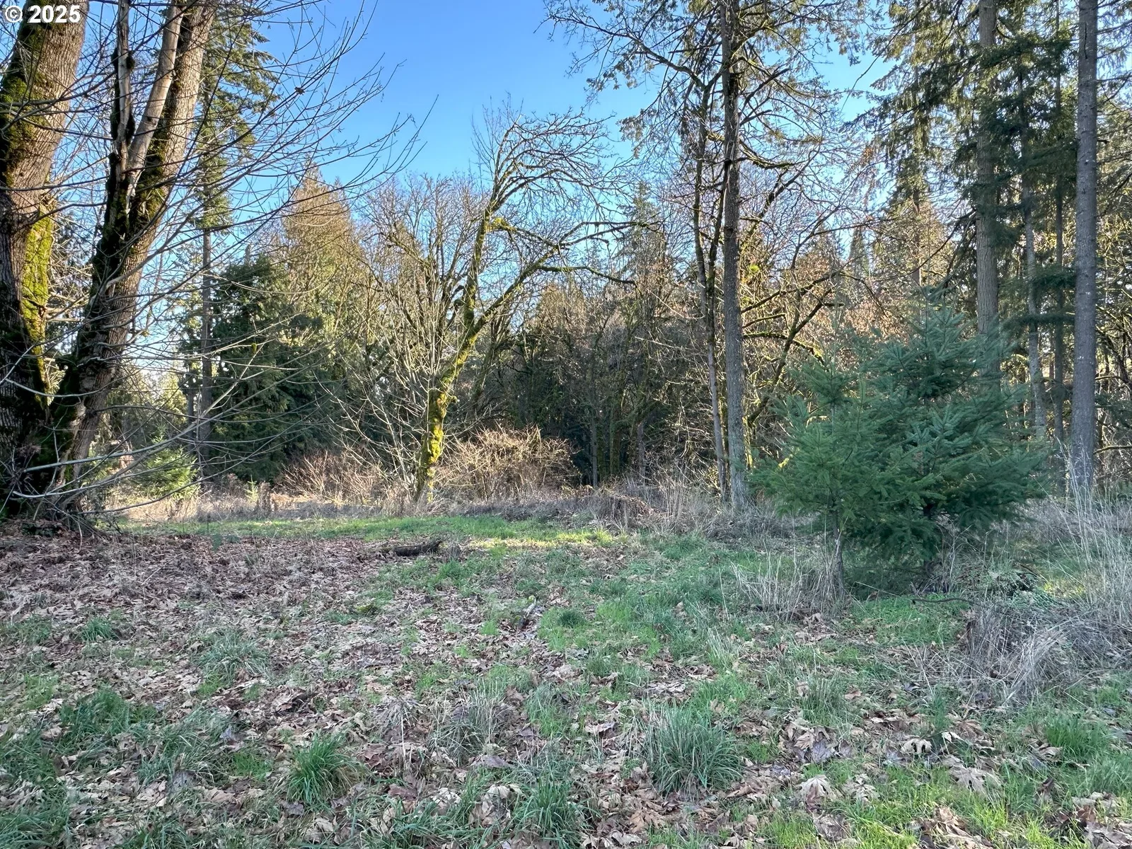 21487 SW Kruger Rd, Sherwood, OR 97140 — photograph 11