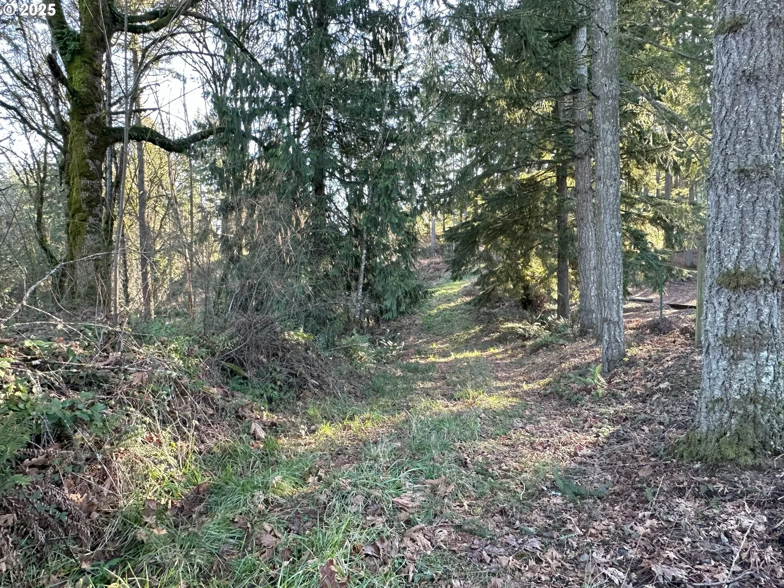 21487 SW Kruger Rd, Sherwood, OR 97140 — photograph 12