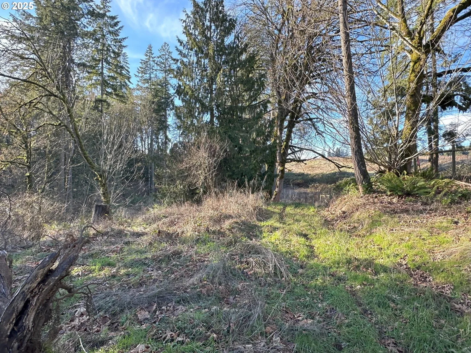21487 SW Kruger Rd, Sherwood, OR 97140 — photograph 10