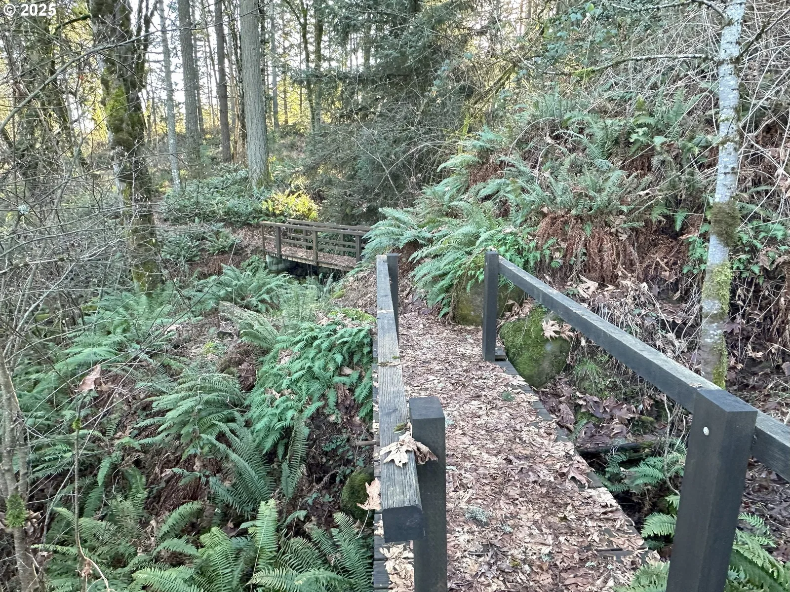 21487 SW Kruger Rd, Sherwood, OR 97140 — photograph 6