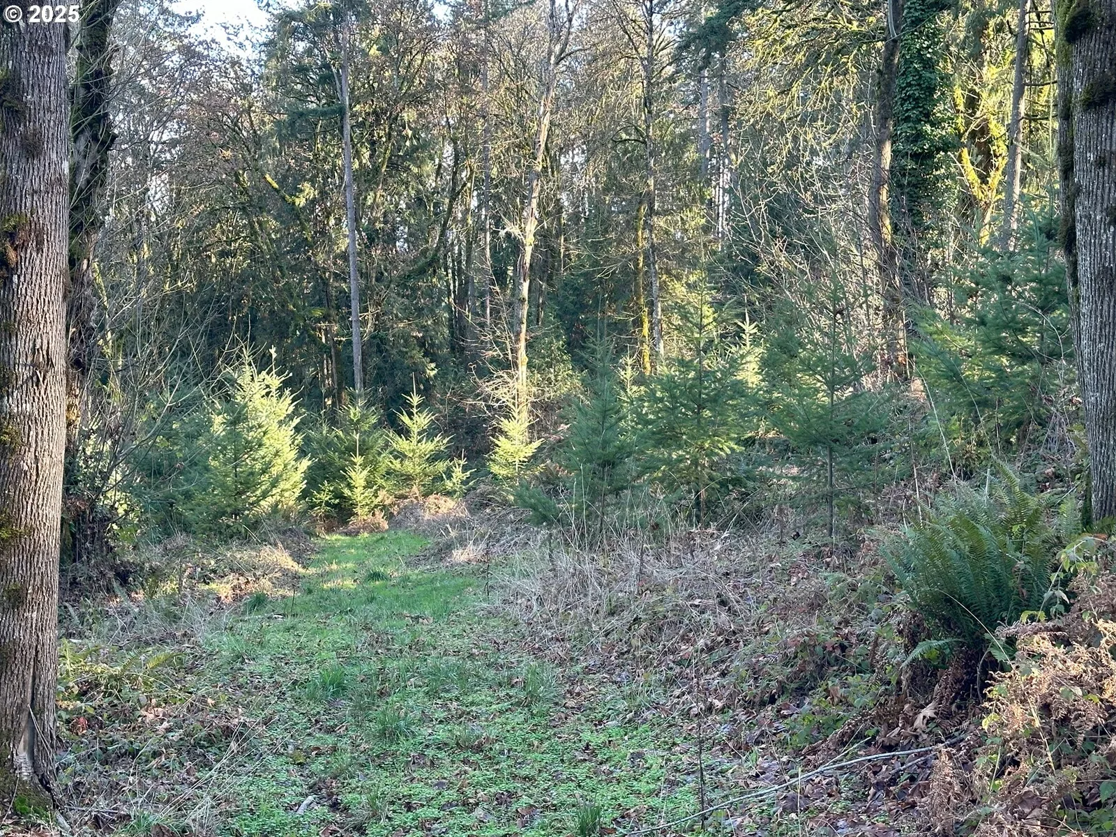21487 SW Kruger Rd, Sherwood, OR 97140 — photograph 14
