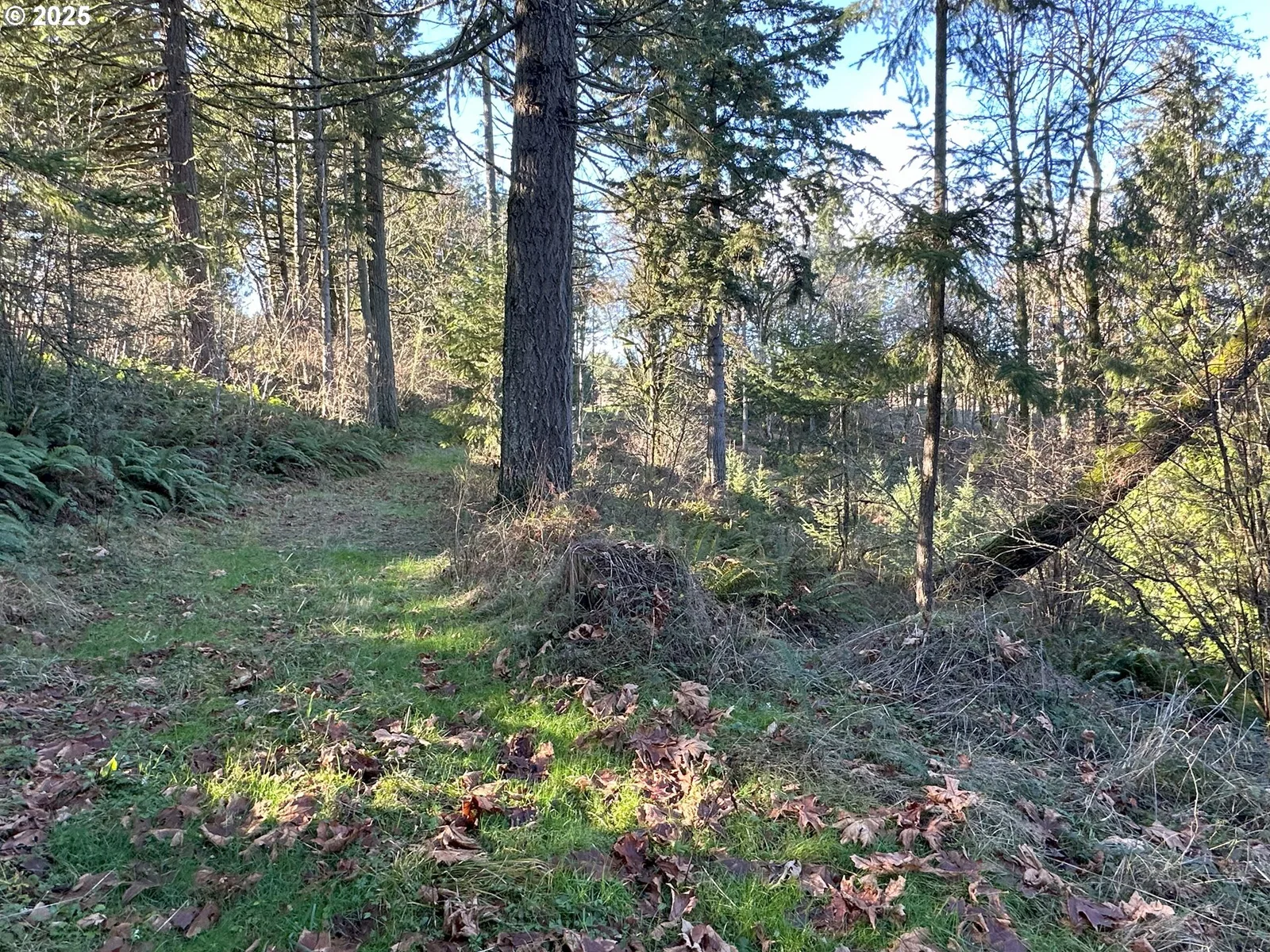 21487 SW Kruger Rd, Sherwood, OR 97140 — photograph 15