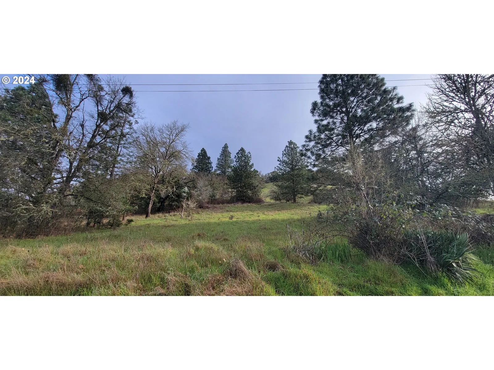 SE Ardis Ave 6,7,8,9, Myrtle Creek, OR 97457 — photograph 9
