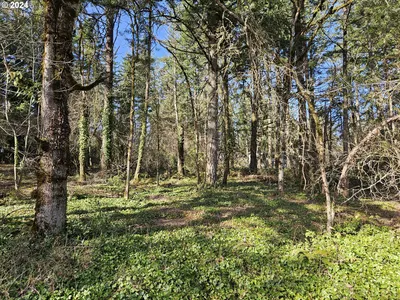 Land at 2700 Miller Ln NW, Albany, OR 97321