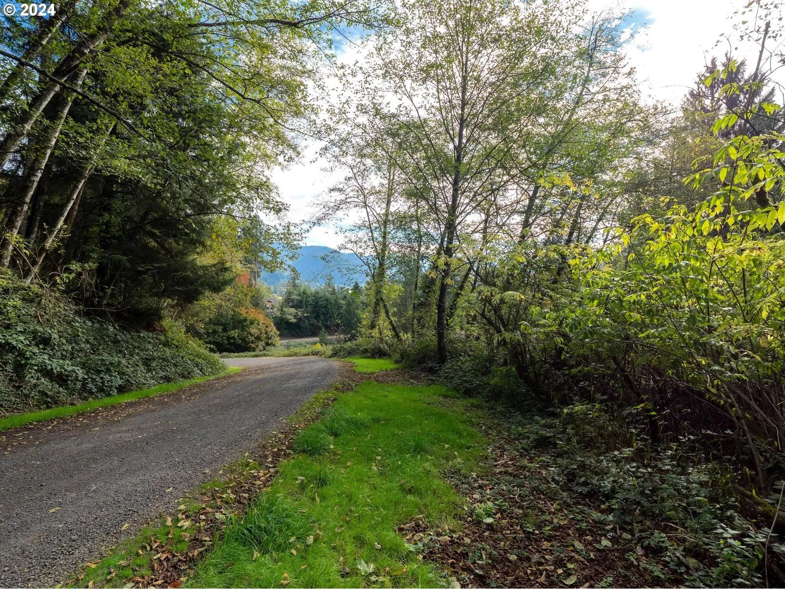 Tl 2809 Briar Ln, Tillamook, OR 97141 — photograph 10