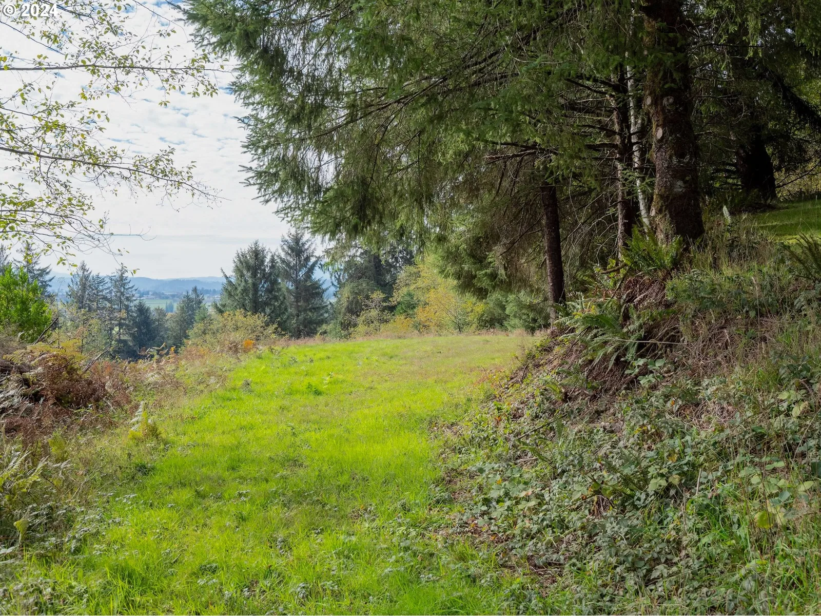 Tl 2809 Briar Ln, Tillamook, OR 97141 — photograph 11