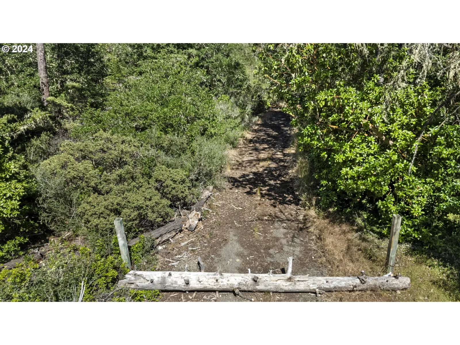 168 Krauss Ln, Cave Junction, OR 97523 — photograph 13