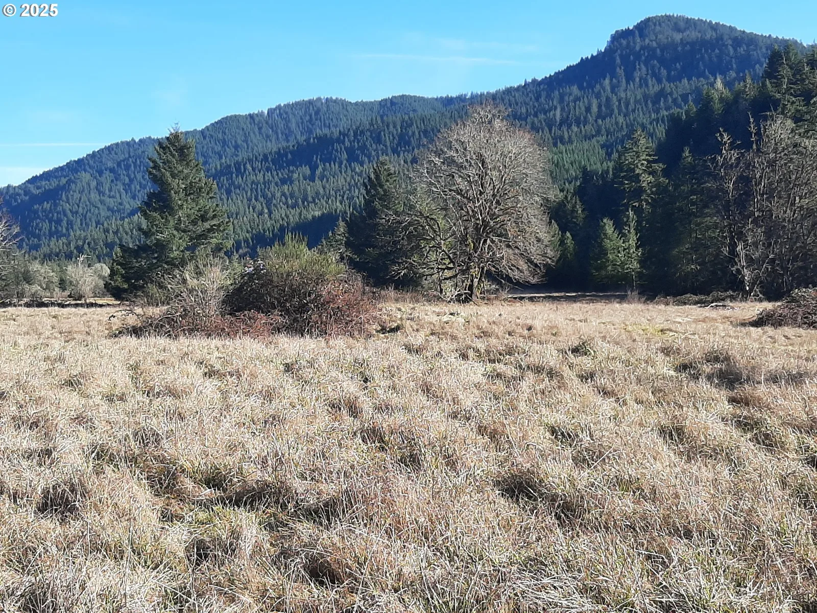 39933 Layng Creek Rd, Dorena, OR 97434 — photograph 9