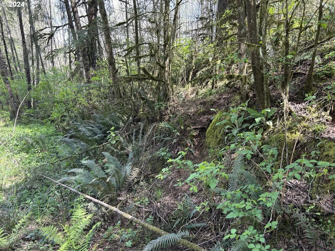 Tl 300 Westwood Pl, Tillamook, OR 97141 — photograph 11