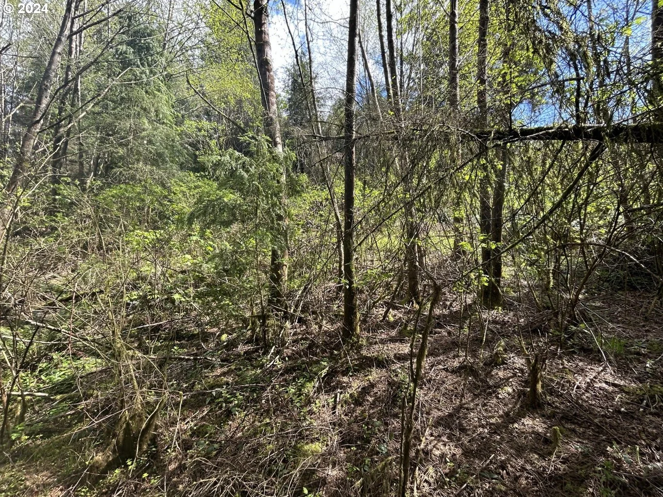 Tl 300 Westwood Pl, Tillamook, OR 97141 — photograph 14