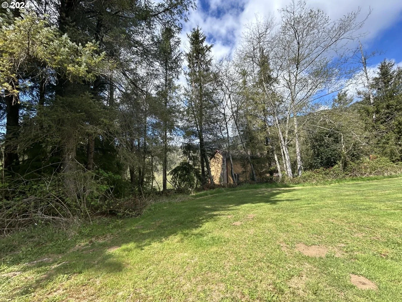 Tl 300 Westwood Pl, Tillamook, OR 97141 — photograph 9