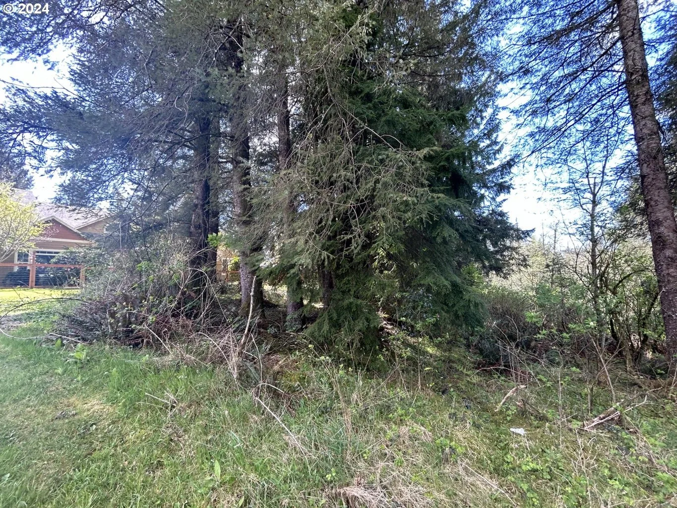 Tl 300 Westwood Pl, Tillamook, OR 97141 — photograph 10
