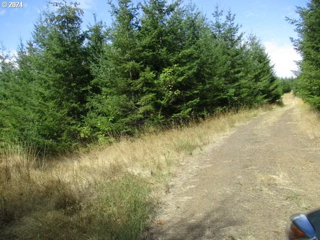 0000 Bellinger Scale Rd, Lebanon, OR 97355 — photograph 17