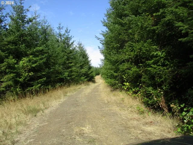 0000 Bellinger Scale Rd, Lebanon, OR 97355 — photograph 18