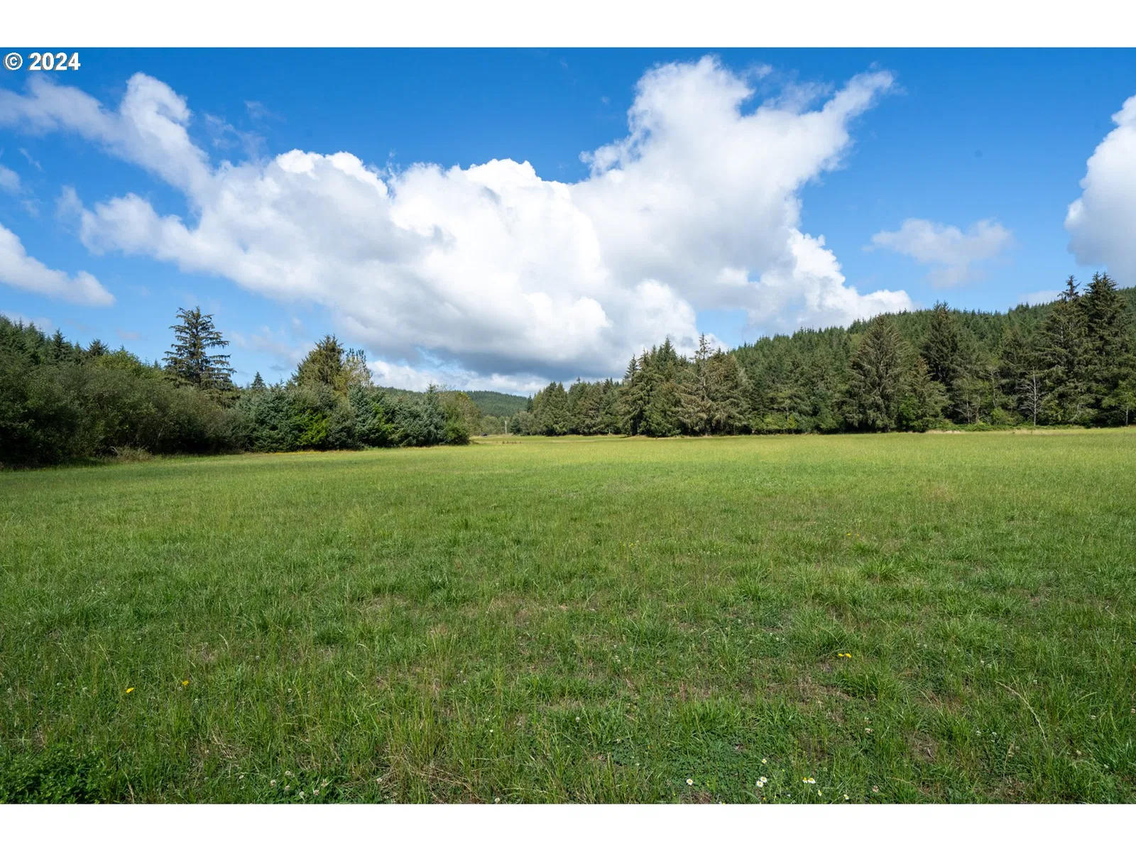 17805 Highway 101 S, Tillamook, OR 97141 — photograph 47