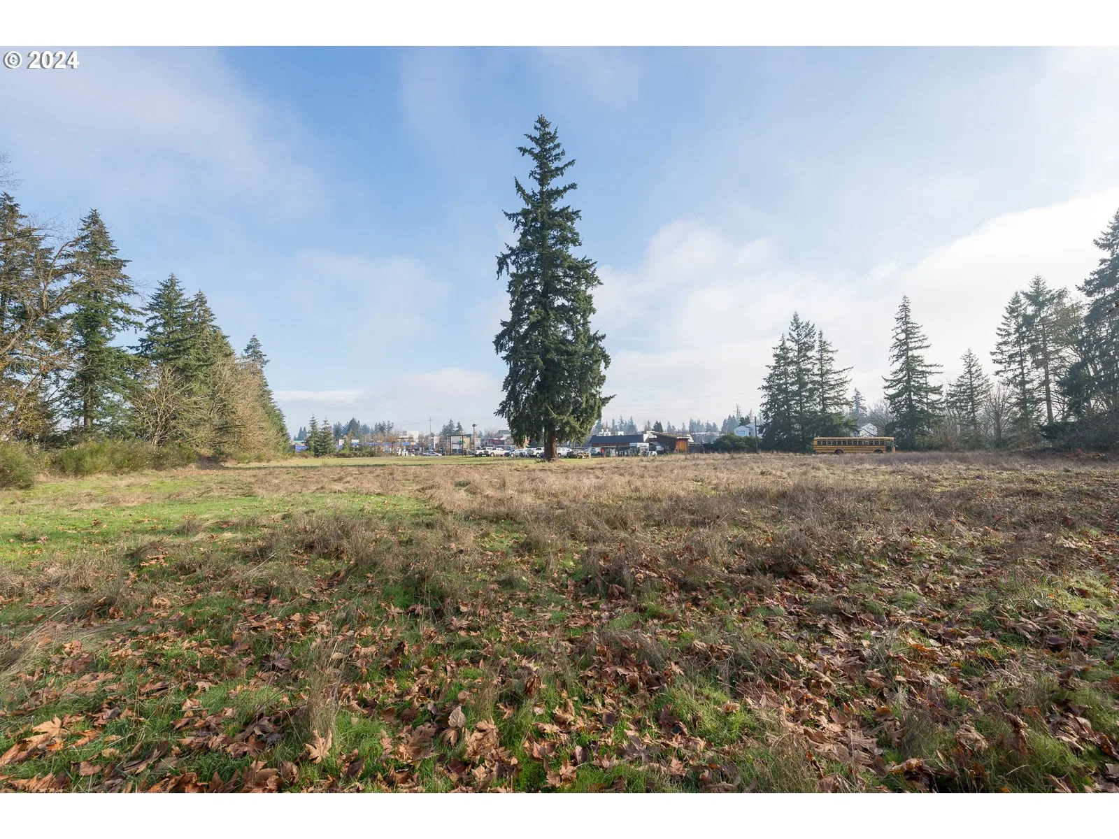 1198 SW 1st Ave, Canby, OR 97013 — photograph 10
