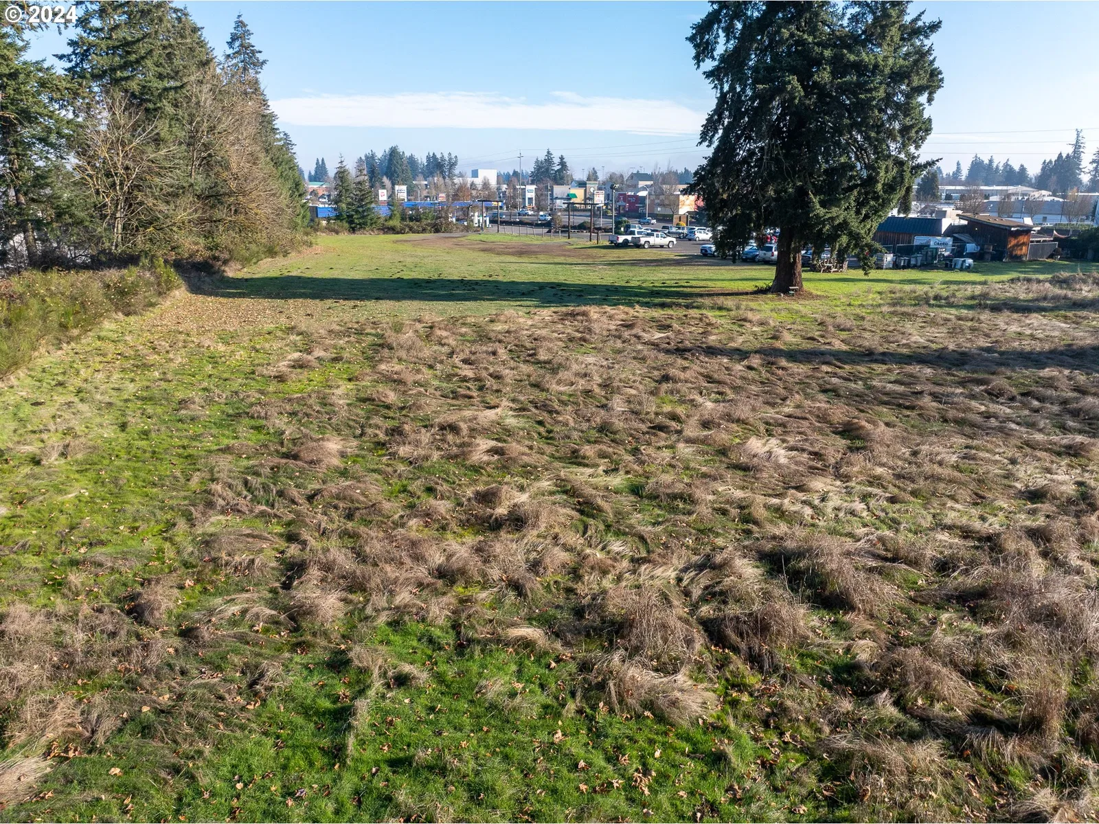 1198 SW 1st Ave, Canby, OR 97013 — photograph 15
