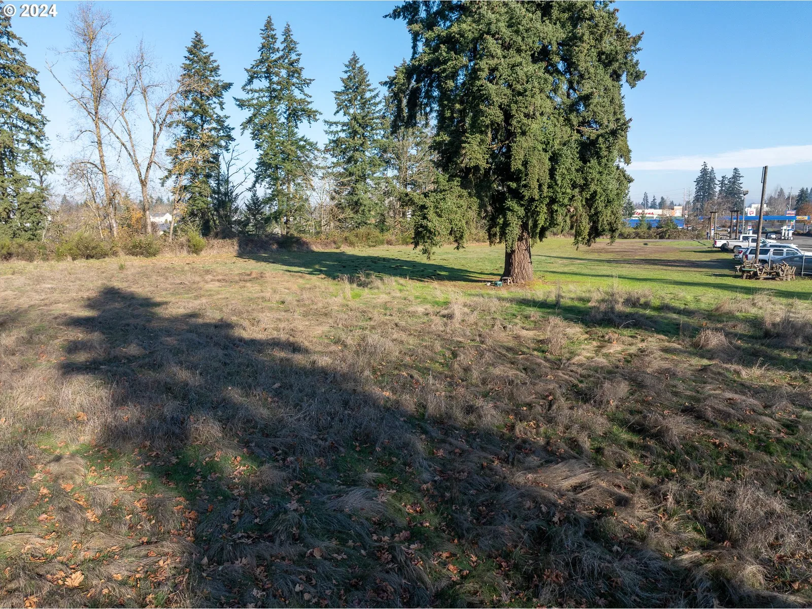1198 SW 1st Ave, Canby, OR 97013 — photograph 14