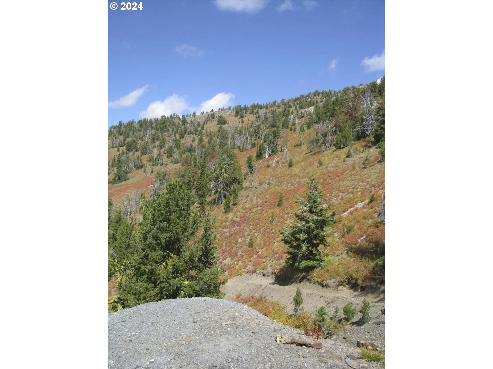 08s37 Tl-1600,1700, Sumpter, OR 97877 — photograph 9