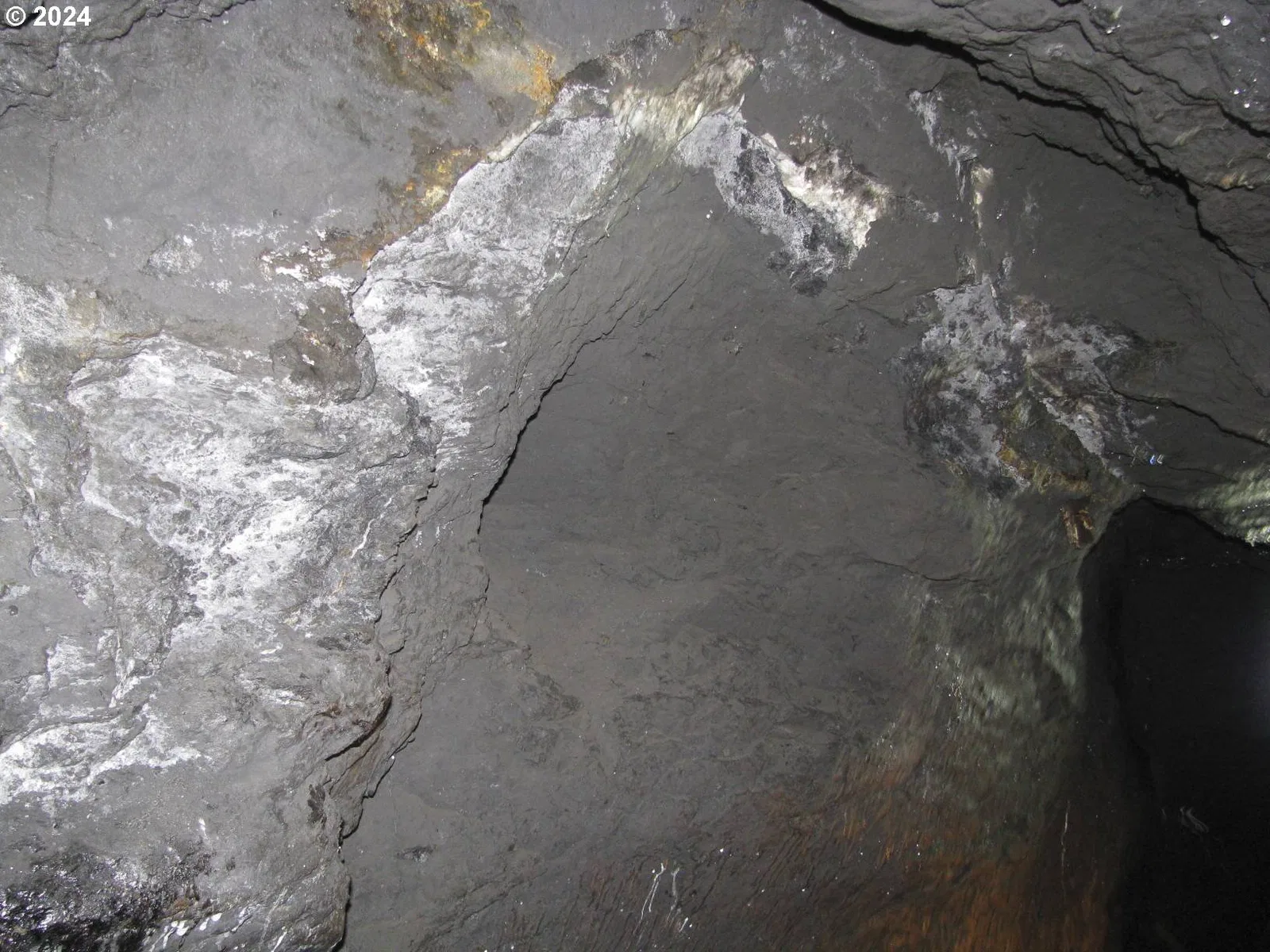 08s37 Tl-1600,1700, Sumpter, OR 97877 — photograph 29