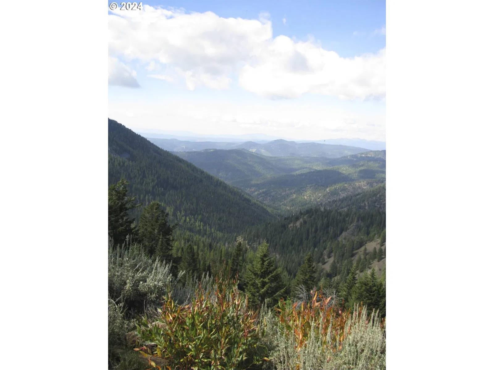 08s37 Tl-1600,1700, Sumpter, OR 97877 — photograph 13