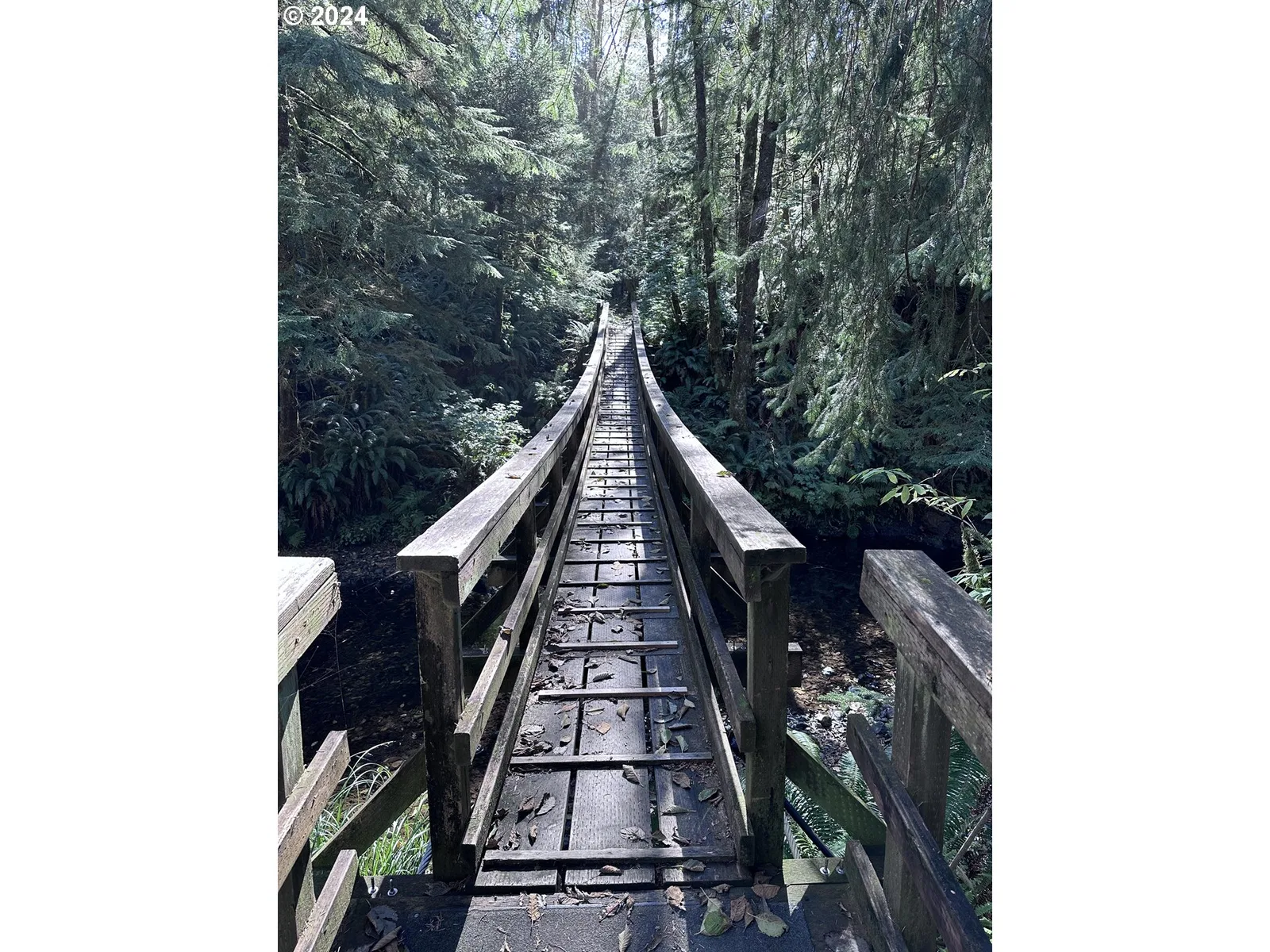 Arch Cape, OR — photograph 9