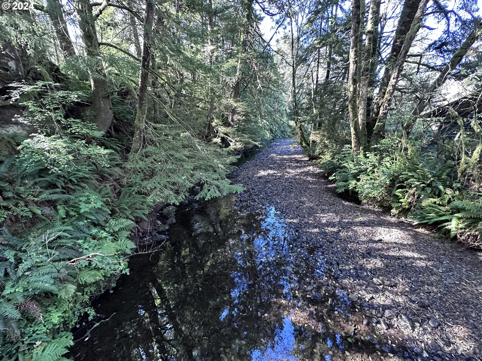 Arch Cape, OR — photograph 11