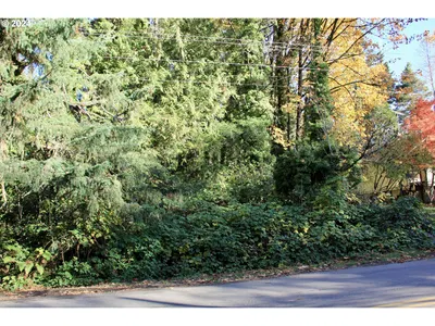 Land at 41081 SE Vista Loop Dr, Sandy, OR 97055
