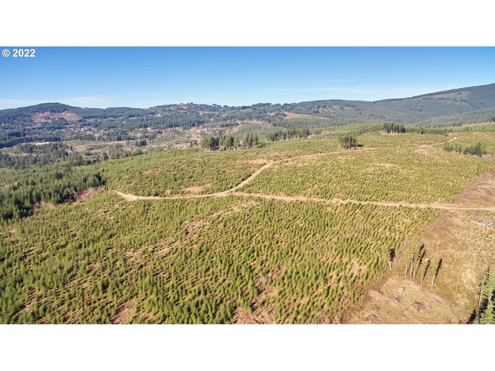 4 NE Jones Rd, Camas, Wa 98607 — photograph 6
