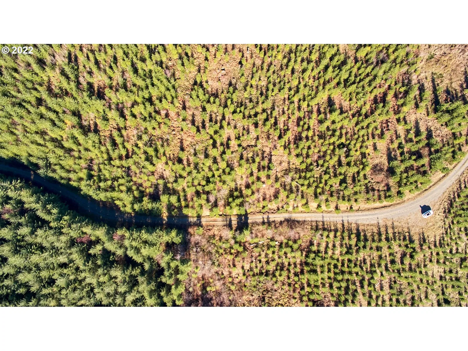 4 NE Jones Rd, Camas, Wa 98607 — photograph 10
