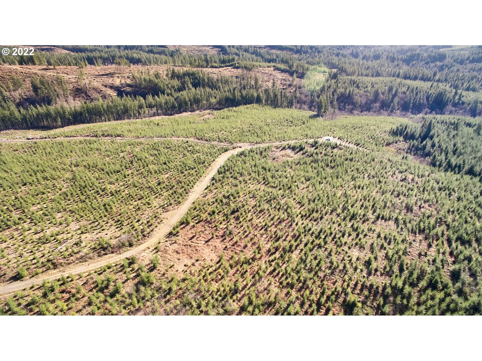 4 NE Jones Rd, Camas, Wa 98607 — photograph 12