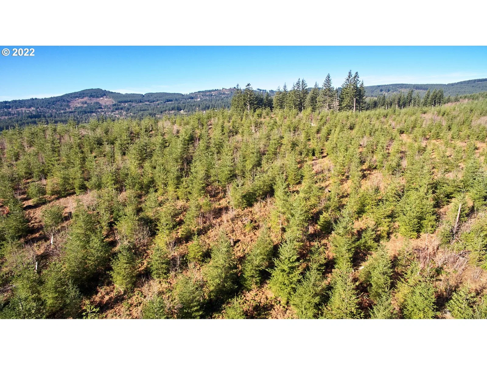 4 NE Jones Rd, Camas, Wa 98607 — photograph 24