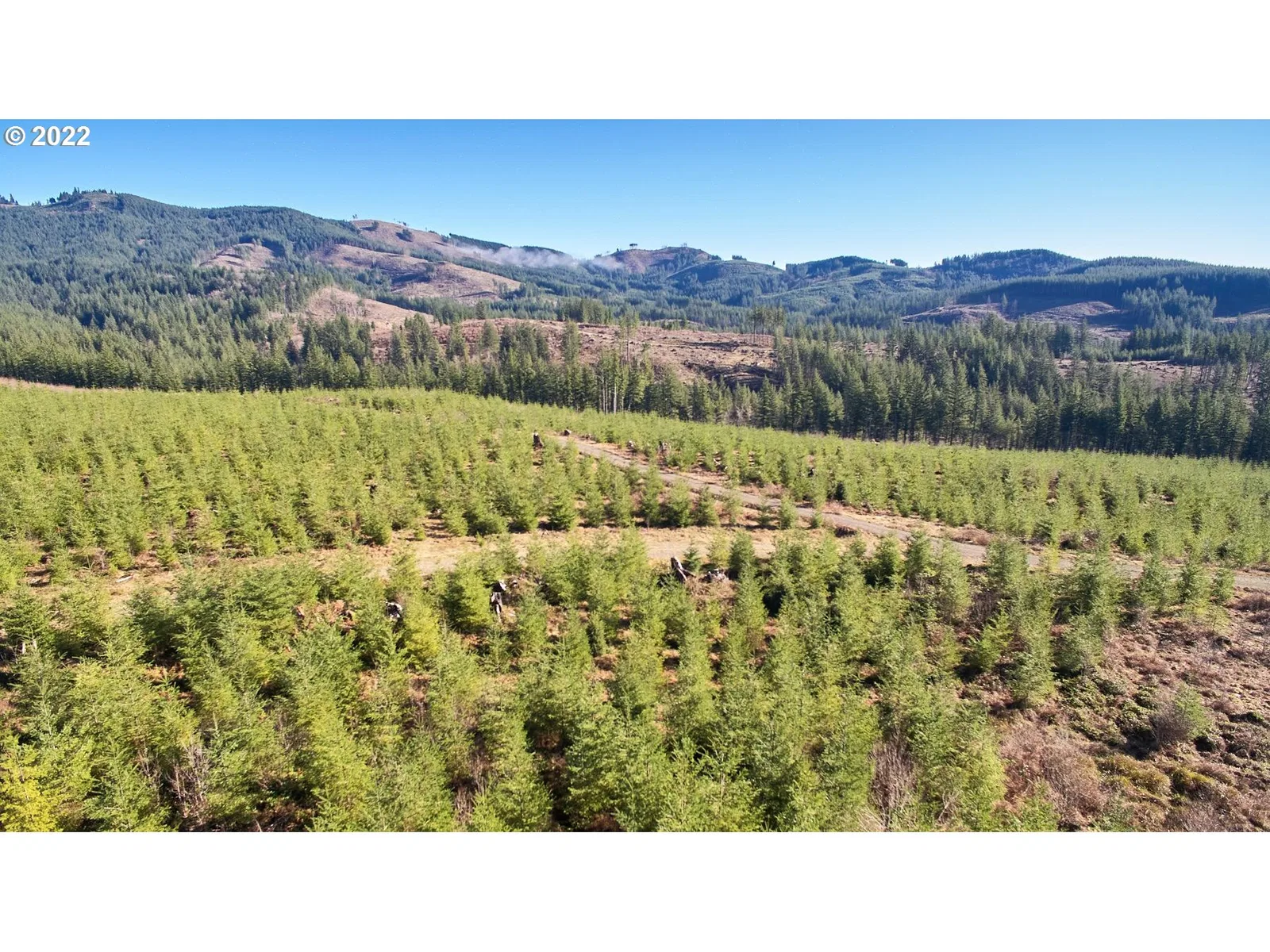 4 NE Jones Rd, Camas, Wa 98607 — photograph 28