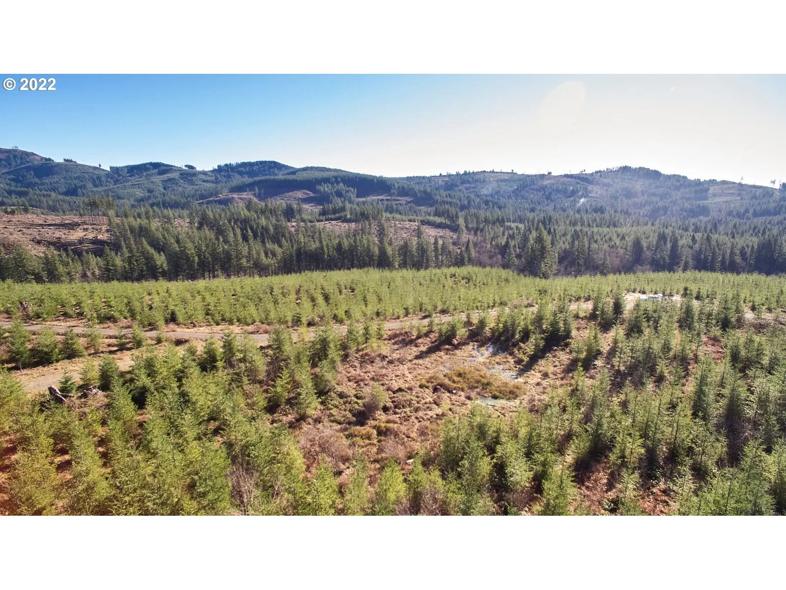4 NE Jones Rd, Camas, Wa 98607 — photograph 29