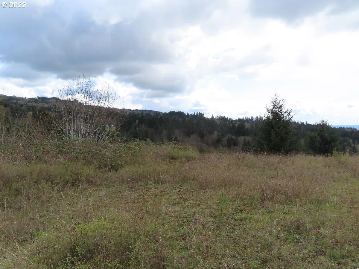 903 Confer Rd, Kalama, Wa 98625 — photograph 13