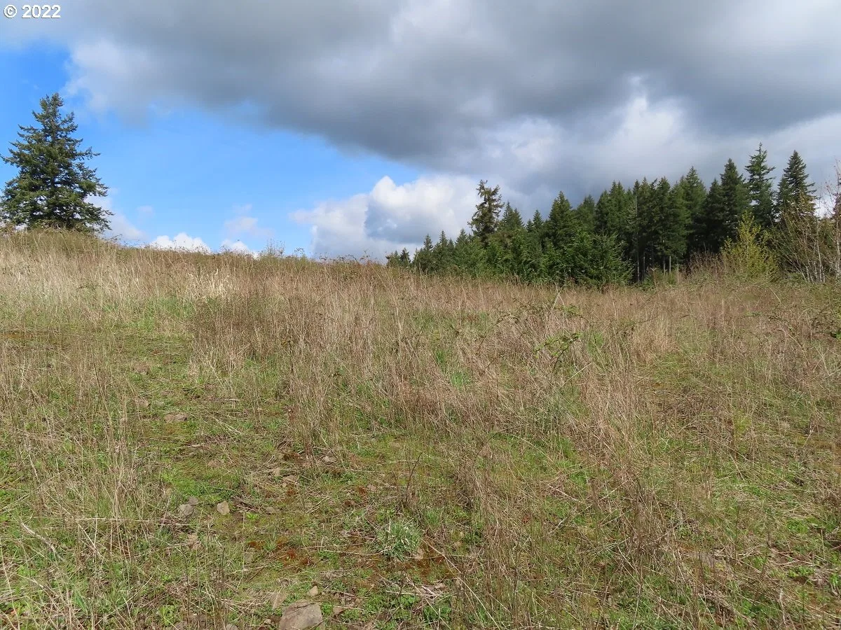 903 Confer Rd, Kalama, Wa 98625 — photograph 17