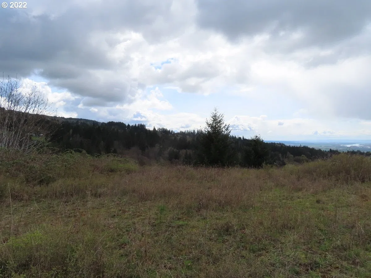 903 Confer Rd, Kalama, Wa 98625 — photograph 22