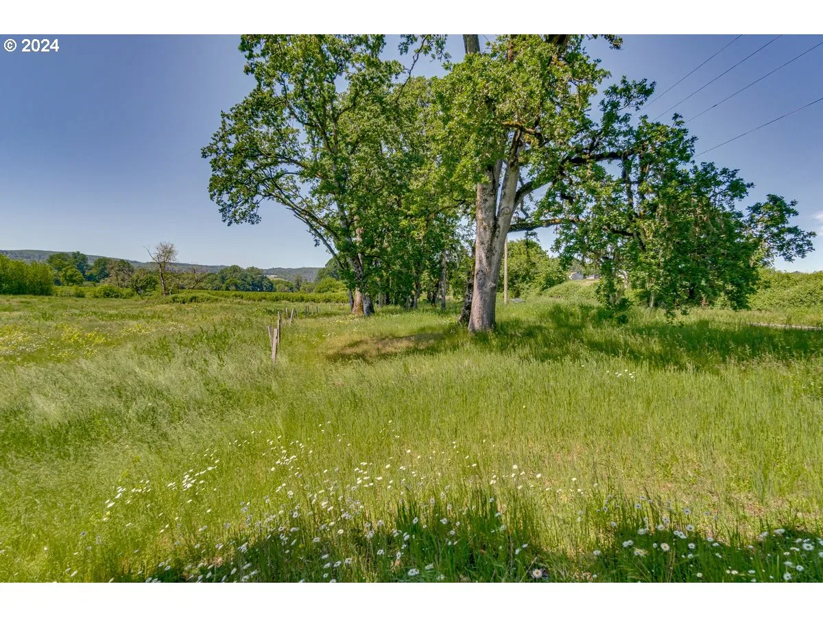 0 NW Oak Ridge Rd, Yamhill, OR 97148 — photograph 17