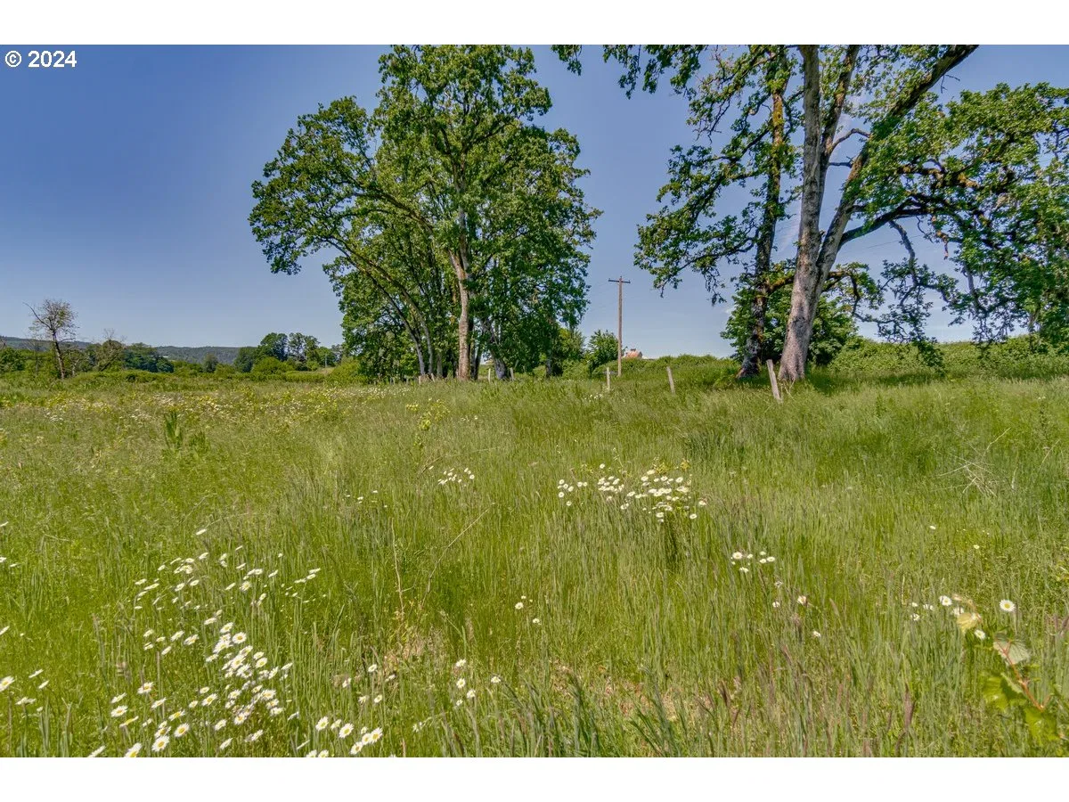 0 NW Oak Ridge Rd, Yamhill, OR 97148 — photograph 18