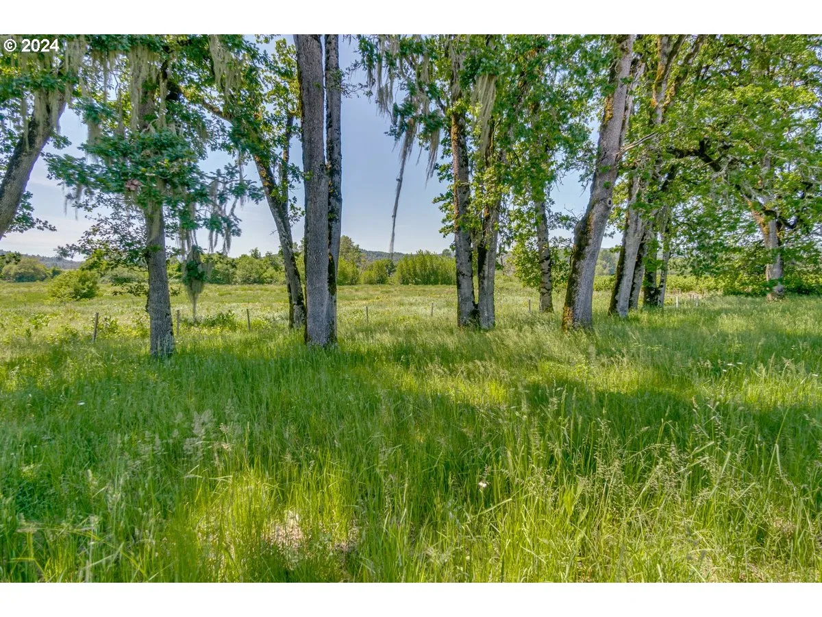 0 NW Oak Ridge Rd, Yamhill, OR 97148 — photograph 19