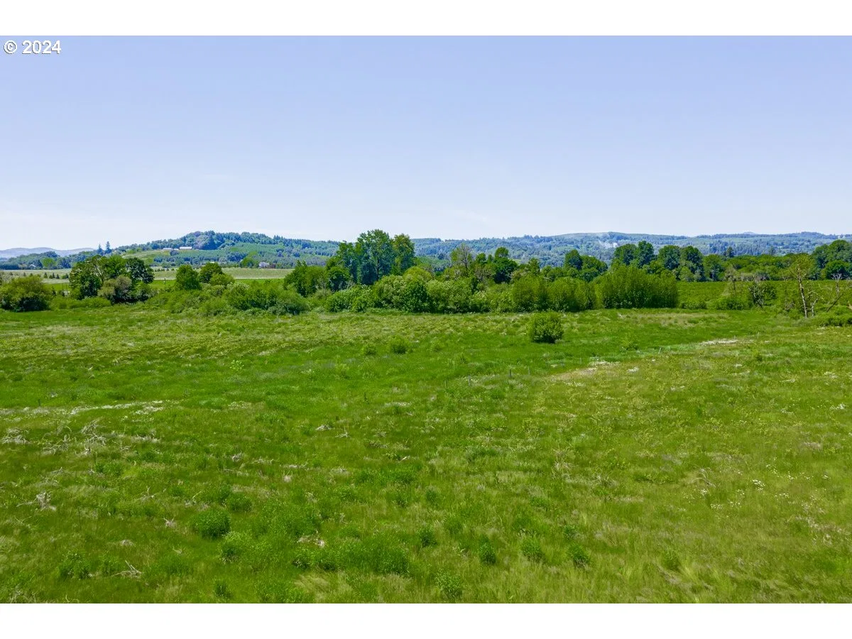 0 NW Oak Ridge Rd, Yamhill, OR 97148 — photograph 21