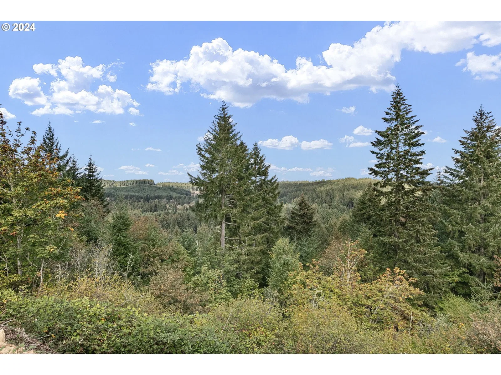 24977 Sturtevant Dr, Veneta, OR 97487 — photograph 9