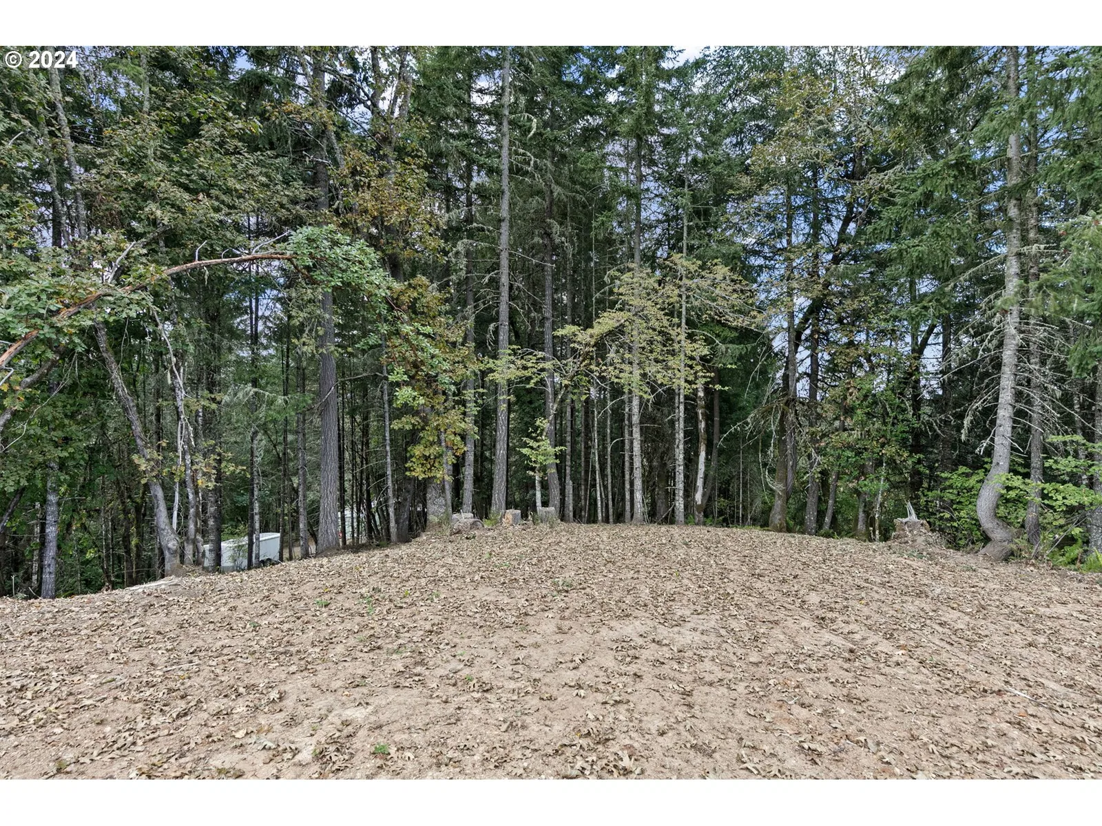 24977 Sturtevant Dr, Veneta, OR 97487 — photograph 10