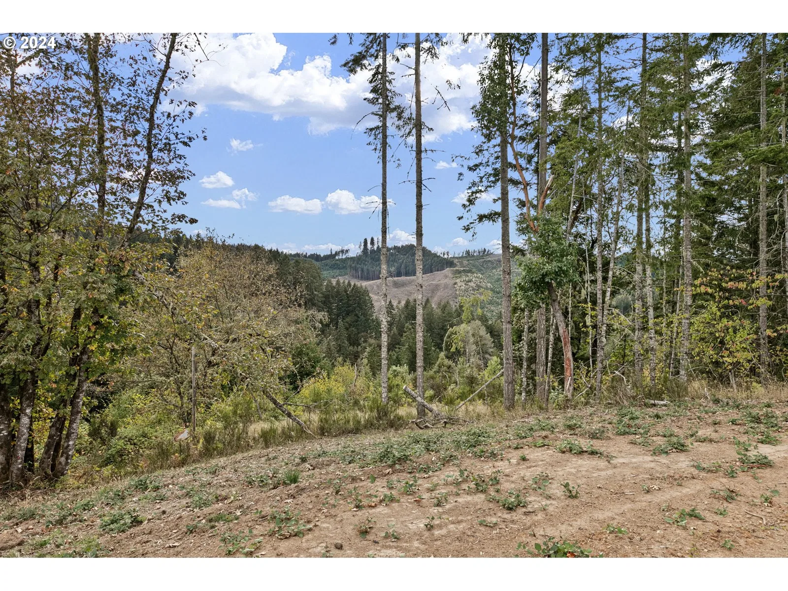 24977 Sturtevant Dr, Veneta, OR 97487 — photograph 12