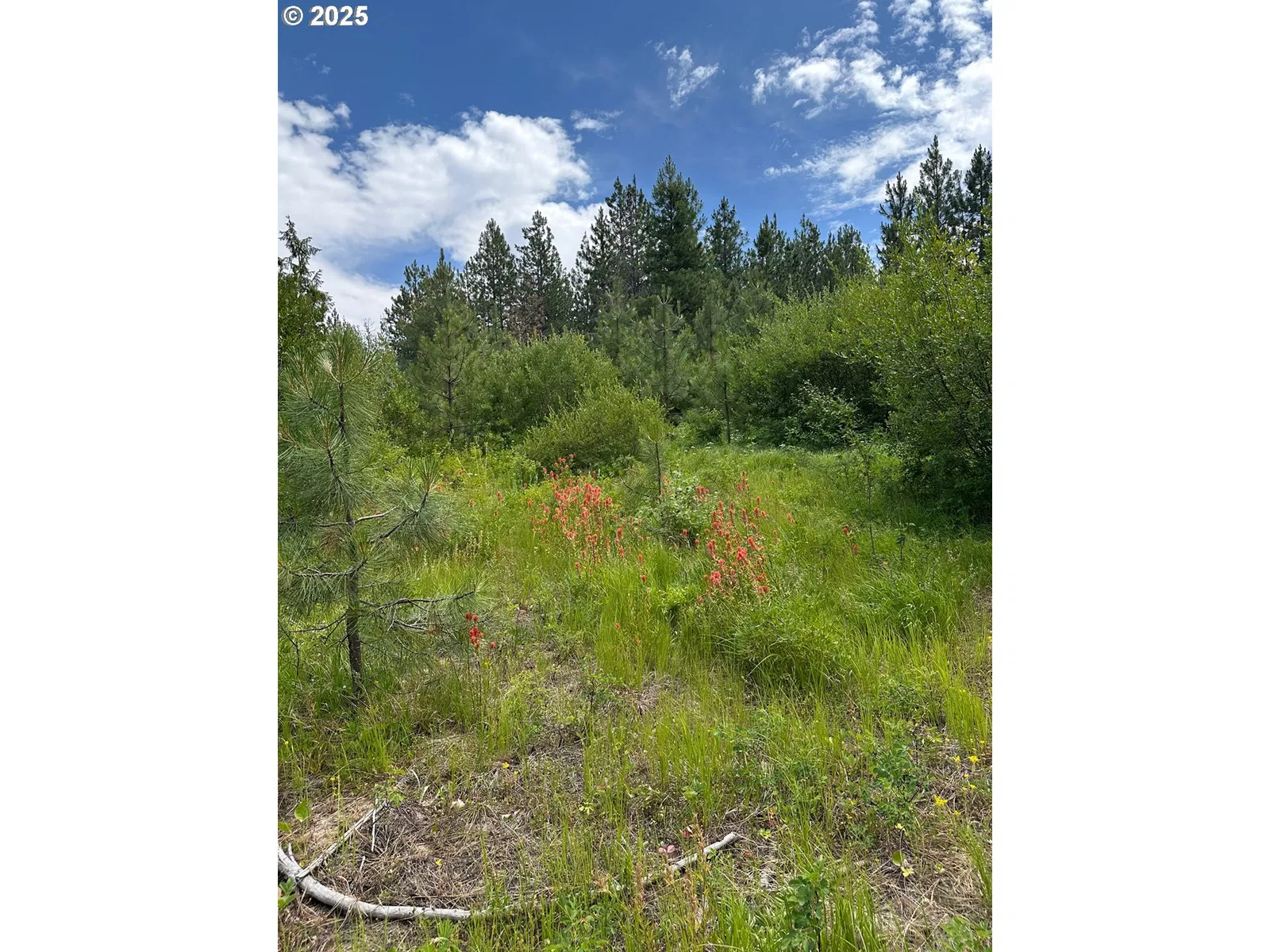 0 Sickfoot Rd, Wallowa, OR 97885 — photograph 8