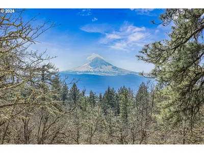 Land at Secluded Way 4, Lyle, Wa 98635