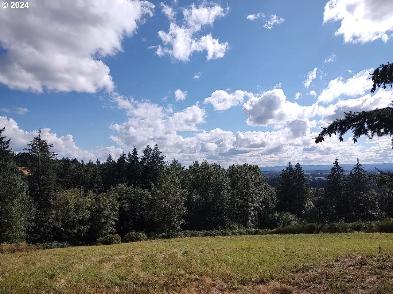 1 NW 389th St, Woodland, Wa 98674 — photograph 9