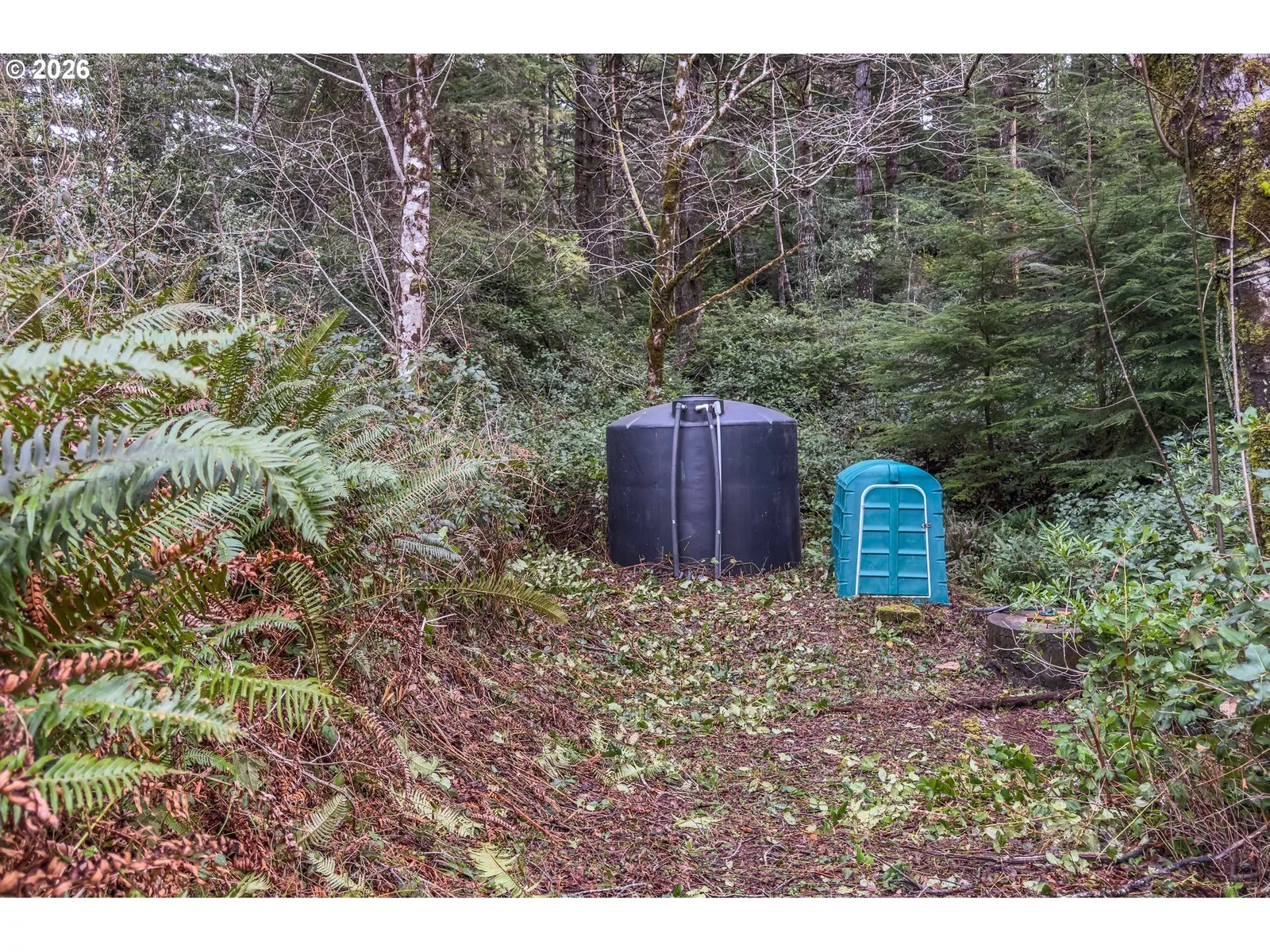 42365 Hensley Hill Rd, Port Orford, OR 97465 — photograph 41